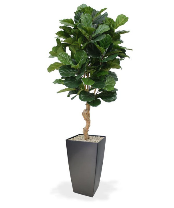 Lyrata Deluxe kunstplant 155 cm