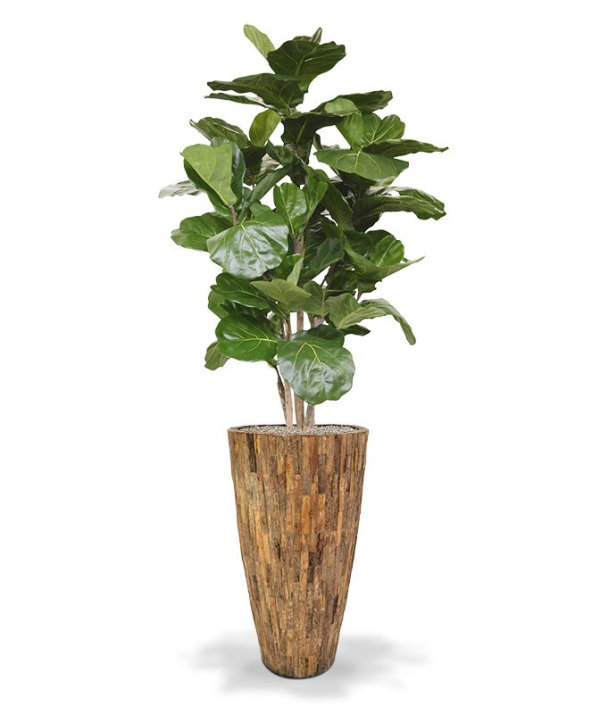 Lyrata Deluxe kunstboom 170 cm