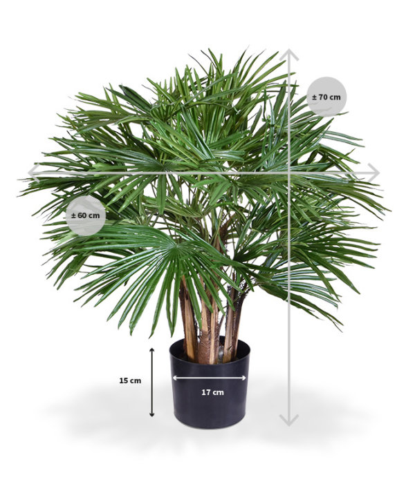 Fan kunstpalm deluxe 70 cm