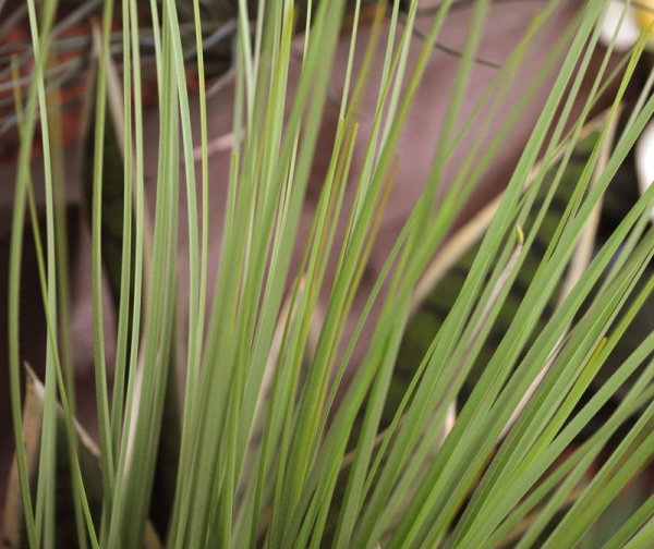 Kunst gras boeket 60 cm groen
