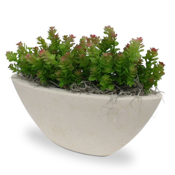Mini Sedum boeket 18 cm