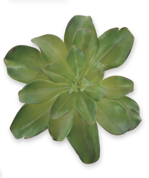 Echeveria Kunstboeket 20 cm