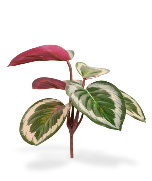 Mini Calathea Ornata kunstboeket 20 cm