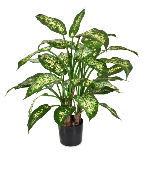 Dieffenbachia deluxe kunstplant 60 cm