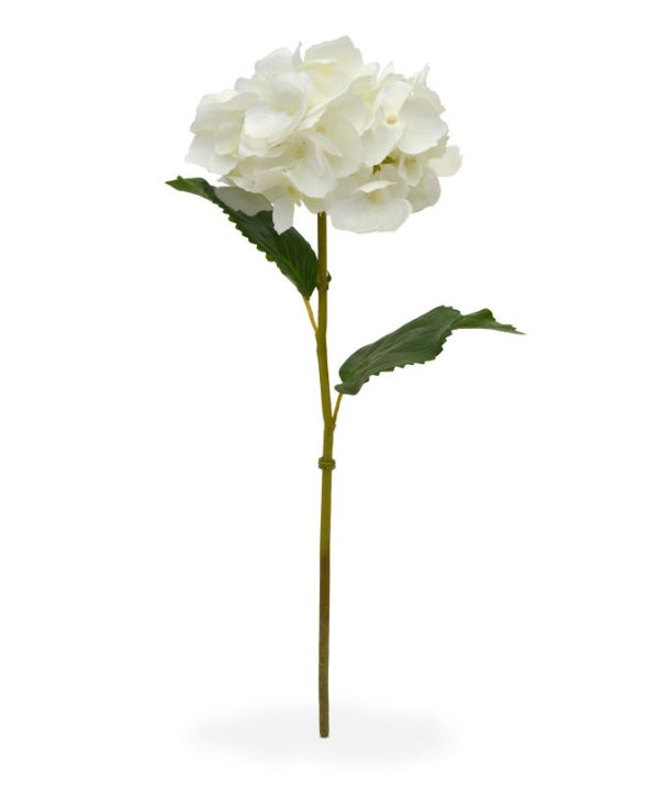 Hortensia Deluxe steelbloem 45 cm creme