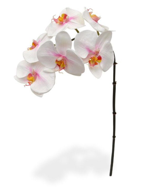 Phalaenopsis kunsttak 55 cm roze