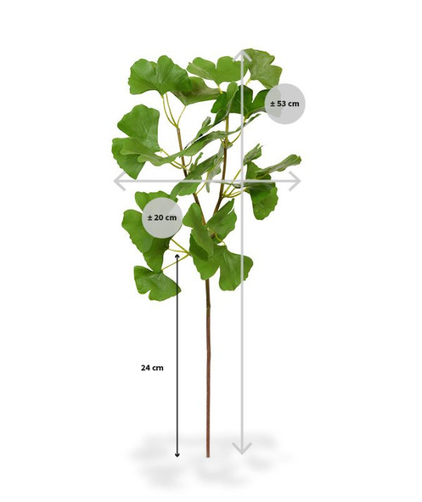 Ginkgo kunstbladtak deluxe 50