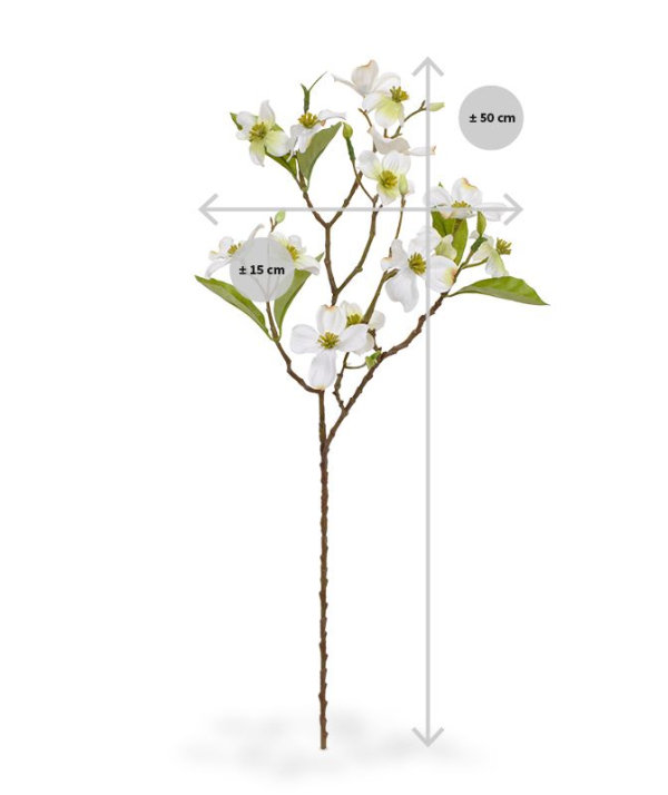 Dogwood kunsttak 50 cm creme