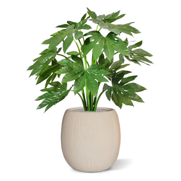 Fatsia Japonica kunstplant 80 cm