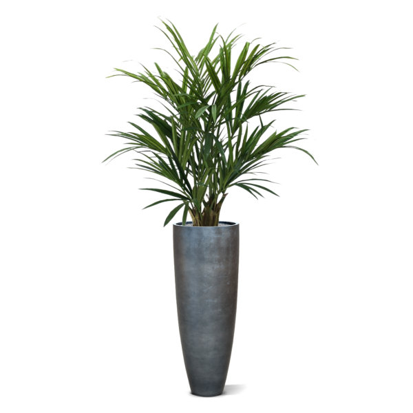 Kentia kunstpalm XL Deluxe 140 cm