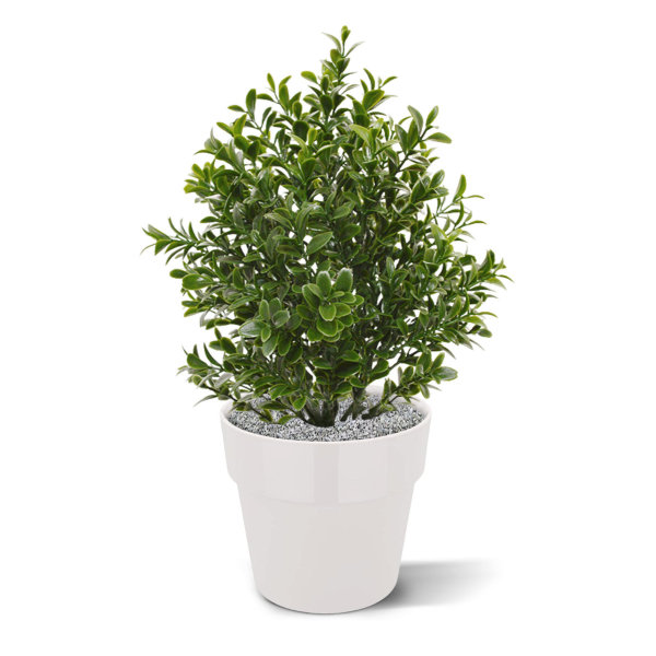 Buxus kunstplant 30 cm UV in pot