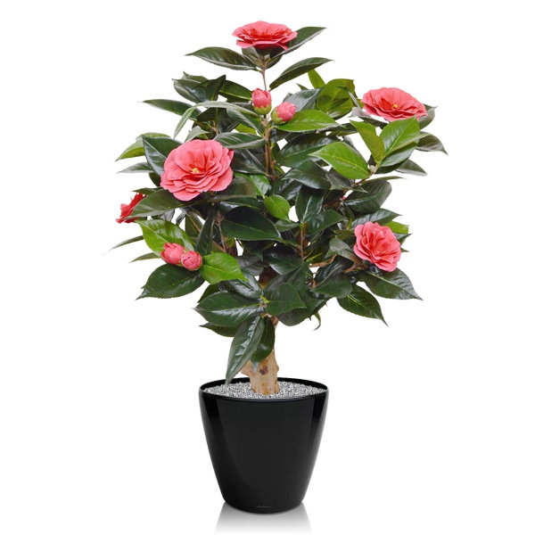 Camelia kunstplant 65 cm roze op voet