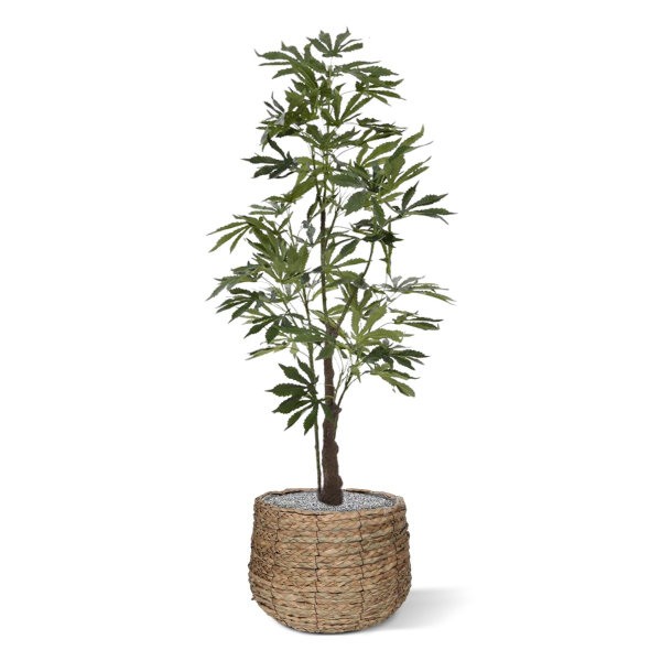 Cannabis kunstplant 120 cm