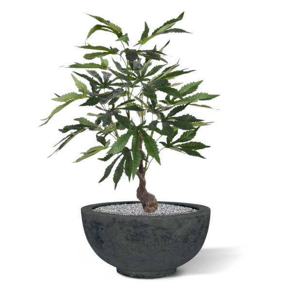 Cannabis kunstplant 60 cm