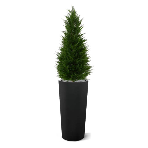 Conifeer Deluxe 100 cm UV