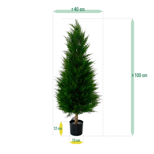 Conifeer Deluxe 100cm