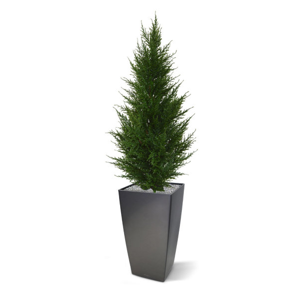 Conifeer kunstplant Deluxe 85 cm UV