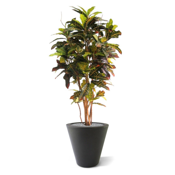 Croton Deluxe kunstboom 130 cm