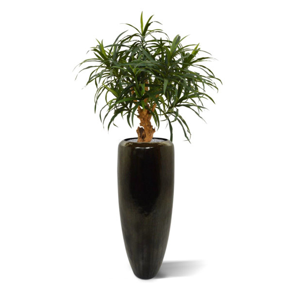 Draceana Reflexa Anita 75 cm kunstplant