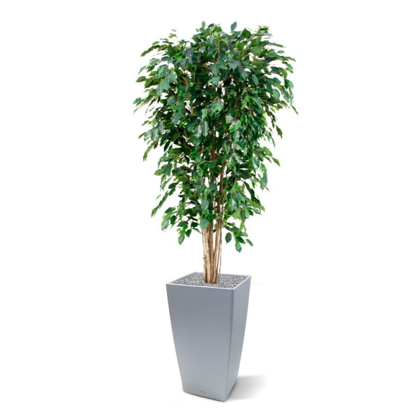Ficus Exotica Deluxe kunstboom 180 cm groen