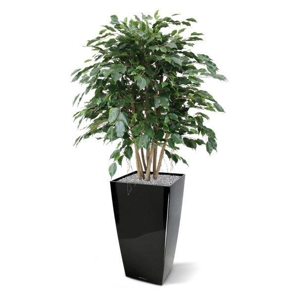 Ficus Exotica XL 110 cm kunstplant