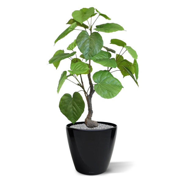 Ficus Umbellata kunstplant 60 cm