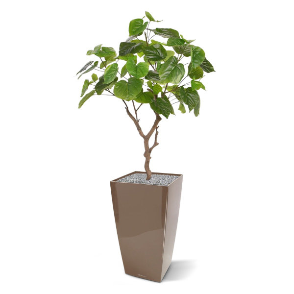 Ficus Umbellata kunstplant 90 cm