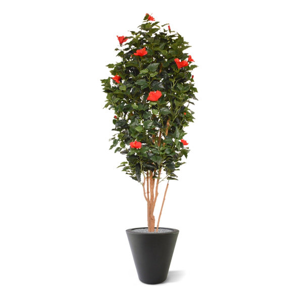 Hibiscus kunstboom 175 cm rood