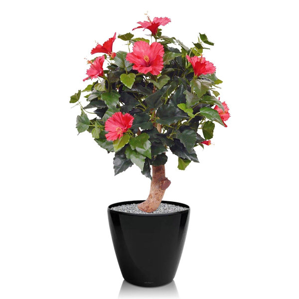Hibiscus kunstplant 65 cm op voet rood