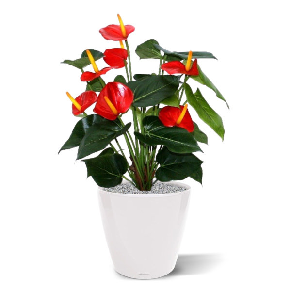 Kunst Anthurium deluxe 50 cm rood