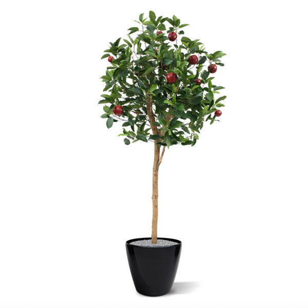 Kunst Appelboom Deluxe 195 cm