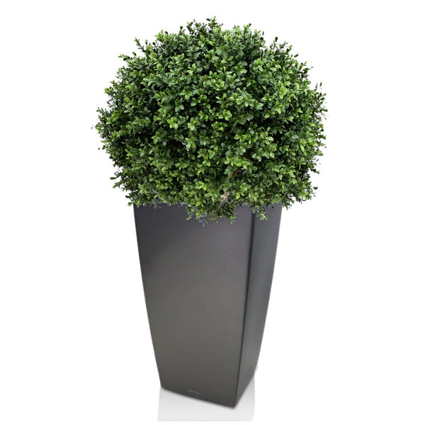 Kunst Buxus Bol Deluxe 60 cm N