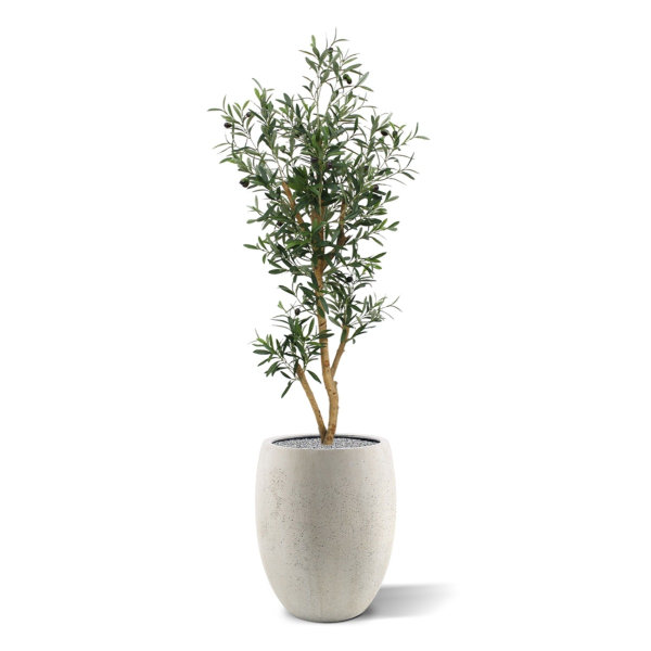 Kunst Olijfboom promo 120 cm