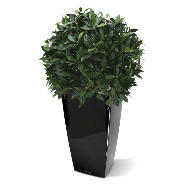 Laurierbol XL kunstplant 60 cm
