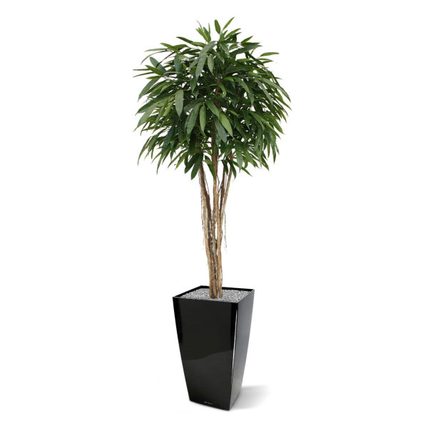 Longifolia Ball Deluxe 180 cm kunstboom