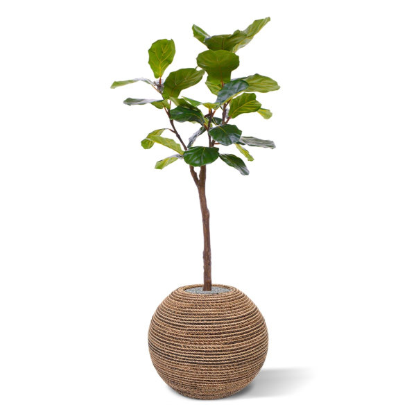 Lyrata kunstboom op stam 120 cm