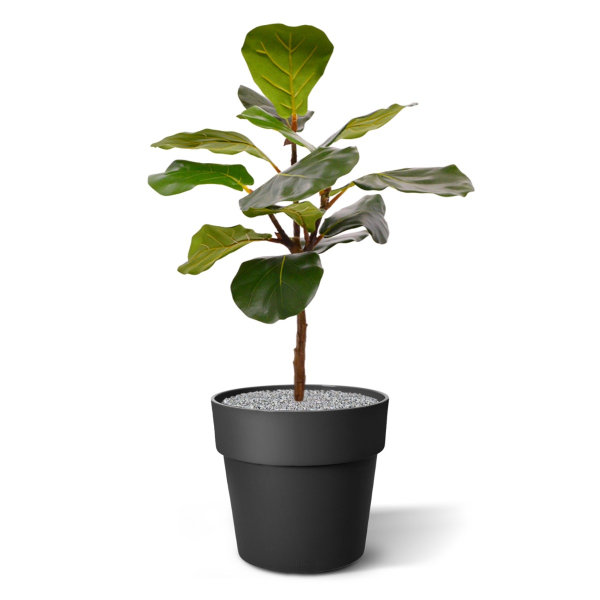 Lyrata kunstplant 60 cm in pot