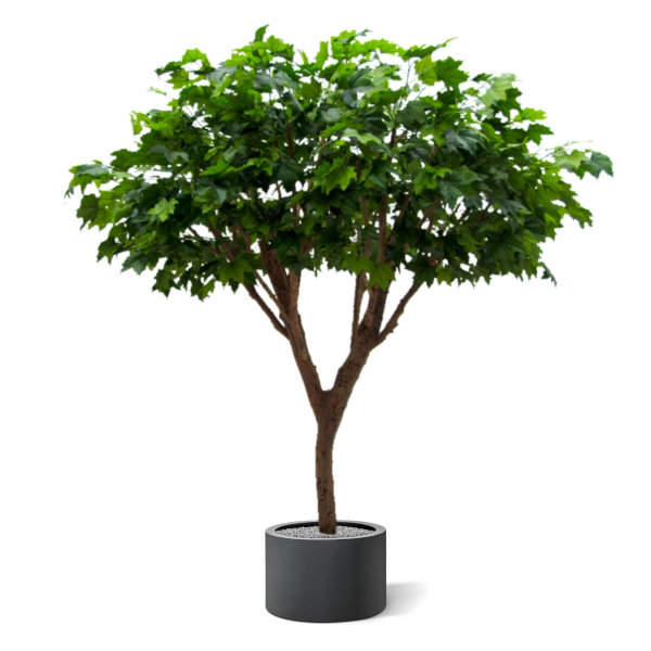 Maple Deluxe Kunstboom 240 cm
