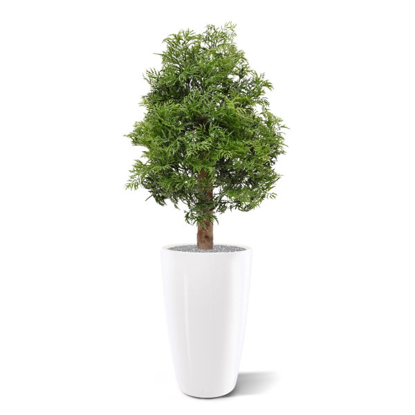 Ming Aralia kunstplant 90 cm UV