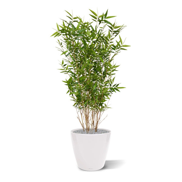 Oriental Bamboe kunstplant 100 cm