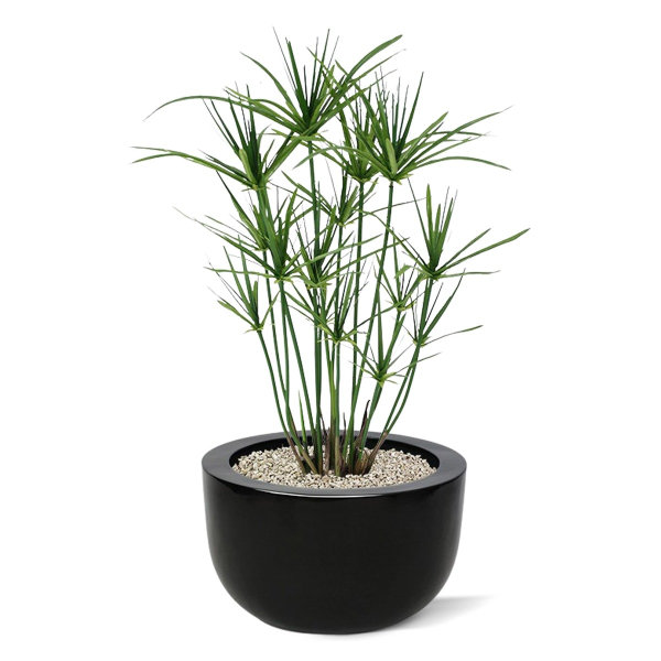 Papyrus 65 cm kunstplant