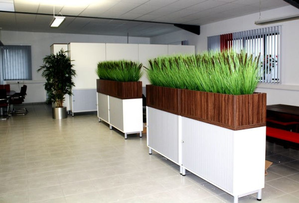 Pennisetum Pluimgras boeket 75cm (bruin)